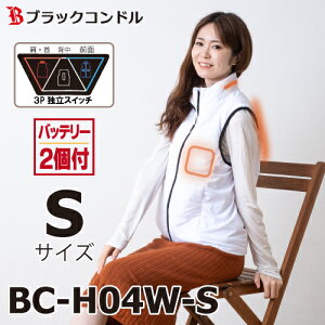 ubNRh@gI q[gxXg STCY zCg obe[2t@BC-H04 E^w^Oʁ@ƗXCb`̗p@q[^[xXg