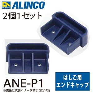 �A���C���R �G���h�L���b�v ANE-P1 �Z�b�g���e�F2��1�Z�b�g �K�p�@��FANE-FX �͂��� �p�[�c ����