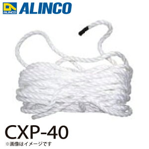 ACR (z@l) [v CXP-40 ZbgeF1{ Kp@FCX-DE ͂ p[c 