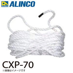 ACR [v CXP-70 ZbgeF1{ Kp@FCX-DE ͂ p[c 