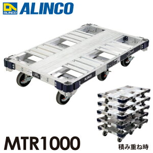 ACR A~^ 6փ^Cv (_N) MTR1000 u[LtLX^[őύڎʁF1g(1000kg)