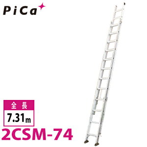 sJ/Pica 2A͂@X[p[RXX 2CSM-74 őgpʁF100kg SF7.31m