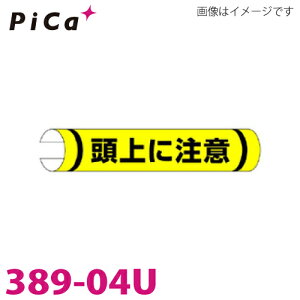 Pica / sJER[|CV PǗp[W 389-04U