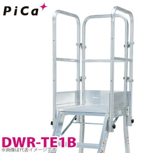 �s�J/Pica DWR�p�肷�� DWR-TE1B �K�p�^�ԁFDER-90�`180A