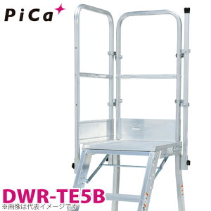 �s�J/Pica DWR�p�肷�� DWR-TE5B �K�p�^�ԁFDER-90�`180A