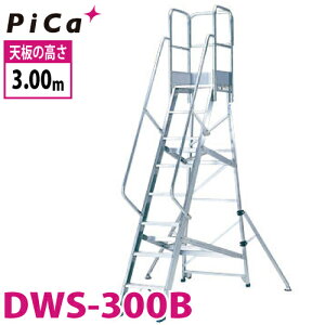 sJ/Pica Ƒ DWS-300B őgpʁF120kg VF3m