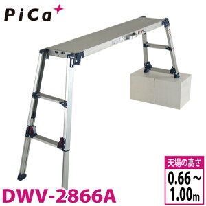sJ/Pica lrAWXg DWV-2866A őgpʁF120kg VꍂF1m