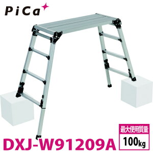 sJ /Pica lrAWXg DXJ-W91209A 㕔^Cv Lkrt ő31cmiΉ VF0.87`1.18m X^bs[