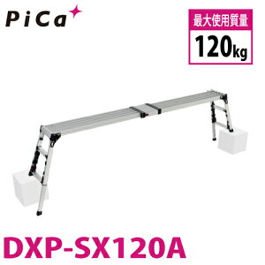 sJ /Pica lrAWXg DXP-SX120A 㕔^Cv Lkrt ő41cmiΉ VF0.85`1.19m X^bs[