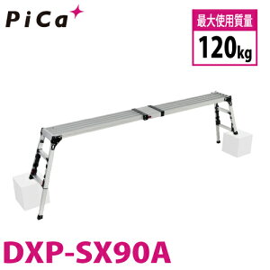 sJ /Pica lrAWXg DXP-SX90A 㕔^Cv Lkrt ő41cmiΉ VF0.60`0.91m X^bs[