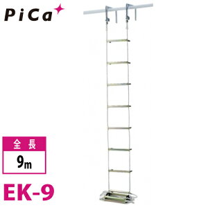 sJ/Pica p [v͂ EK-9 SF9m