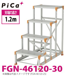�s�J/Pica ��Ƒ�iDanchi�V���[�Y) FGN-46120-30 �H�ʁF�W���^�C�v �ő�g�p���ʁF150kg �V�ꍂ���F1.2m �i���F4 ���ʁF16.9kg �_���`