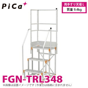 �s�J/Pica ��Ƒ�p�肷�� (Danchi�V���[�Y) ���肷��V��L FGN-TRL348 �K�p�^���FFGN/FGC ���ʁF9.4kg �_���`