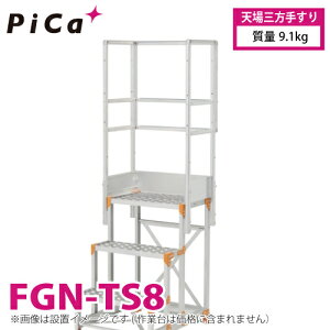 �s�J/Pica ��Ƒ�p�肷�� (Danchi�V���[�Y) �V��O���肷�� FGN-TS8 �K�p�^���FFGN/FGC ���ʁF9.1kg �_���`