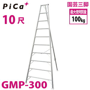 sJ /Pica |Or GMP-300 10ځ@xbg yʁERpNg őgpʁF100kg