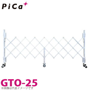 sJ/Pica ȈՃA~LX^[Q[g GTO-25 SF2646mm F1403mm