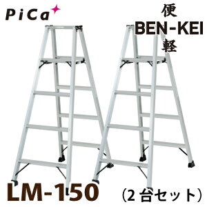 sJ /Pica ֌yEBENKEI yʐpr LM-150 2Zbg@5 VF1.39m