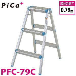 sJ/Pica  PFC-79C őgpʁF100kg iF3
