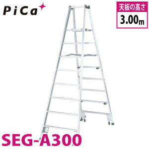 sJ /Pica 킭tpr SEG-A300 őgpʁF100kg VF3m 