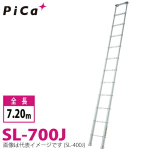 sJ/Pica Lk͂ X[p[_[ SL-700J őgpʁF100kg SF7.20m