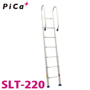 sJ/Pica Lk͂ SLT-220 őgpʁF100kg SF2.54m