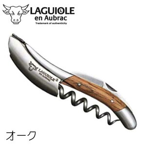 MI[ A IubN I[N 3Nۏ XeX \GiCt tX LAGUIOLE en Aubrac