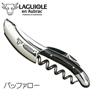 MI[ A IubN obt@[ 3Nۏ \GiCt tX LAGUIOLE en Aubrac