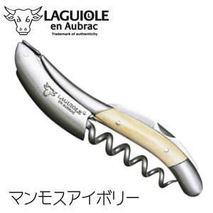 MI[ A IubN }XAC{[ 3Nۏ }X̉ \GiCt tX LAGUIOLE en Aubrac