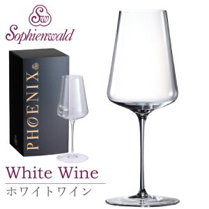 tFjbNX zCgCOX 420ml nhCh 1r Mtg{bNX ]tB[G@g COX I[XgA Sophienwald