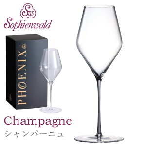 tFjbNX Vp[j COX 410ml nhCh 1r Mtg{bNX ]tB[G@g Vp Xp[NO Sophienwald