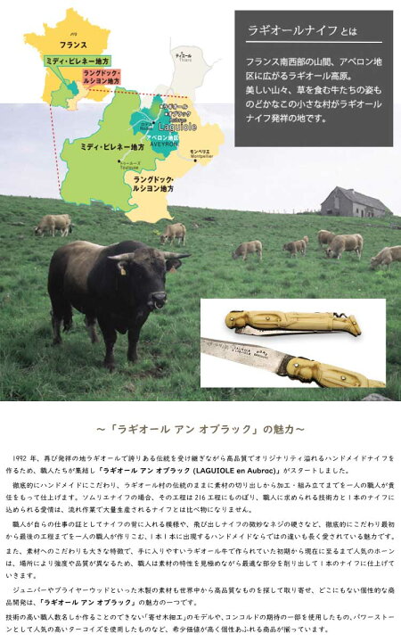 楽天市場】ラギオール アン オブラック ホーン 3年保証 牛の角  