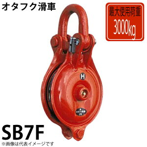 I^tNԁ@VbN1ԁ@SB7F@gp׏dF3000kg@SB^@bV[u