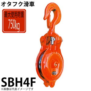I^tNԁ@nbJ[芊ԁ@SBH4F@gp׏dF750kg@SBH^