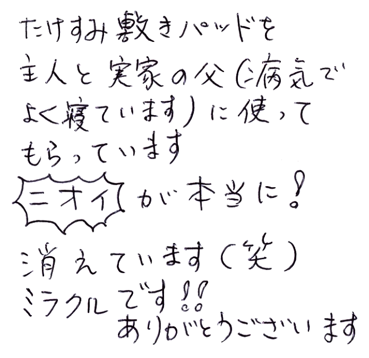 敷きパット　竹炭　除菌消臭激レアシングルサイズ 竹炭ベッドパッド（マット）シングル | 虎斑竹専門店 竹虎