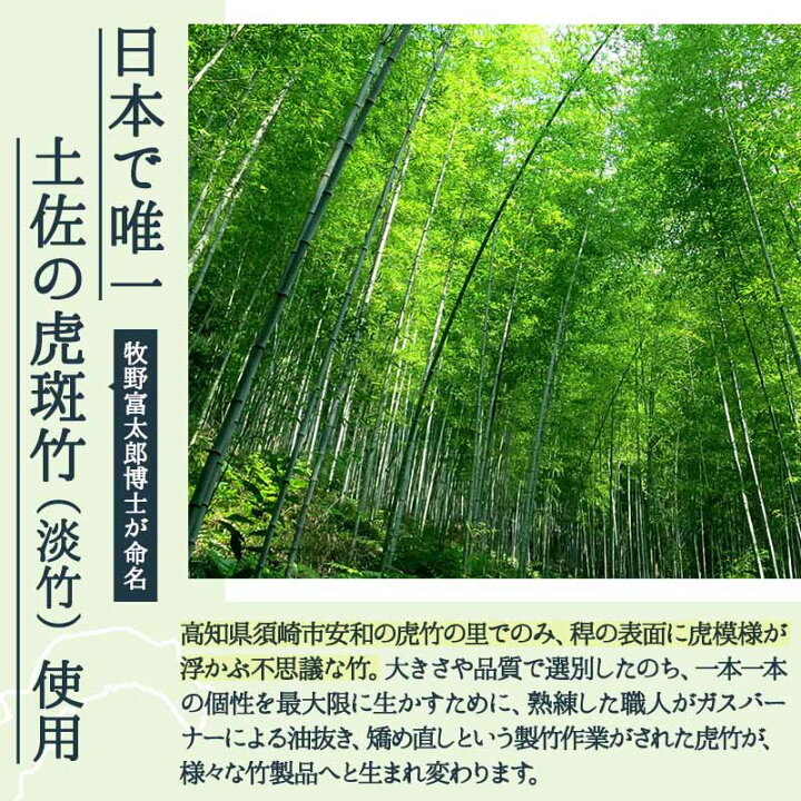 楽天市場】【4月1日限定ポイント最大20倍！エントリー＆買い回りで】虎 