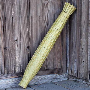 y󒍐Y ͂܂Ŗ1z^|V1100C̉V߂薼l҂ރbp^̌FCeAɎgقǔ