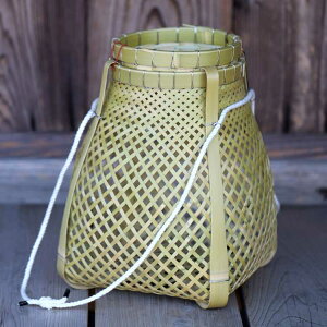 y󒍐Y ͂܂Ŗ1z^|V1100C̉V߂薼l҂ݏグƓ̌`i