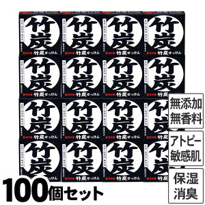 Ւ|̗ |YΌi100gj100Zbg Y { Ό Y F[ tH[ XLPA Ό Ags[ q   L ̏L L 