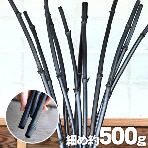 |Yiے|Yjׂߖ500g C򉻍p   L a m CeA  rO a u | CX^[V ے| p  yq 100VRf 