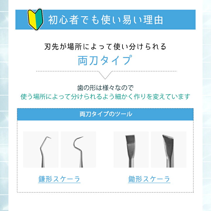 楽天市場】歯石取り ツール 5本セット 【一般医療機器】 歯石除去 