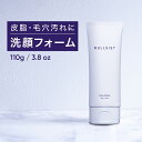 【P2倍】 【公式】 NULLSIST フェイスウォッシュ 100g 洗顔 メンズ スキンケア 男性 ユニセックス 女性 ナルシスト 敏感肌 乾燥 皮脂 毛穴 スッキリ ギフト プレゼント 父の日