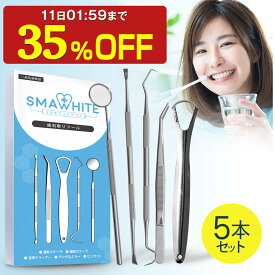 【35%OFF】 歯石取り ツール 5本セット 【一般医療機器】 歯石除去 スケーラー 歯石とり ヤニ取り 歯石 歯 セルフ ケア ホワイトニング 自宅 簡単 健康 デンタルケア セット ケース 器具 除去 ステンレス 製 口内 デンタル 歯用 スマホワイト 武内製薬 送料無料