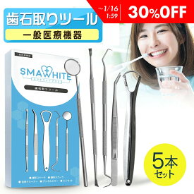 【30%OFF】 歯石取り ツール 5本セット 【一般医療機器】 歯石除去 スケーラー 歯石とり ヤニ取り 歯石 歯 セルフ ケア ホワイトニング 自宅 簡単 健康 デンタルケア セット ケース 器具 除去 ステンレス 製 口内 デンタル 歯用 スマホワイト 武内製薬 送料無料