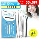 齒間刷｜歯石取り ツール 5本セット 【一般医療機器】 歯石除去 スケーラー 歯石とり ヤニ取り 歯石 歯 セルフ ケ…