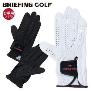 yԗDǃVbv܁z u[tBO St O[u fB[X Ўp Ep rv U[ G`IsAV[v  StEFA n S uh BRIEFING GOLF BRG201A19