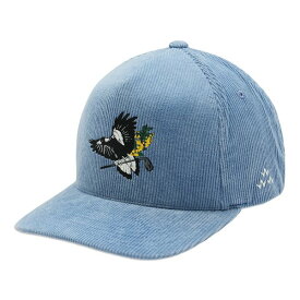 【月間優良ショップ受賞】 バーズオブコンドル ゴルフ キャップ コーデュロイ メンズ レディース 帽子 ゴルフキャップ フリーサイズ ブランド BIRDS OF CONDOR TEMC2T04