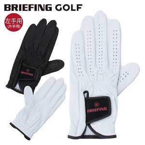 u[tBO St O[u fB[X Ўp p rv U[ G`IsAV[v  StEFA n S uh BRIEFING GOLF BRG201A18