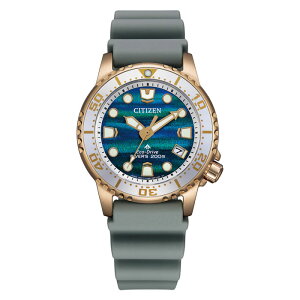 �y��������!�zCITIZEN�@PROMASTER EO2023-00W �����d�G�R�E�h���C�u�@���f�B�[�X�@����