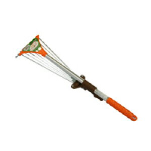 tS~̂W߂ɏ LkXChK[f[L 