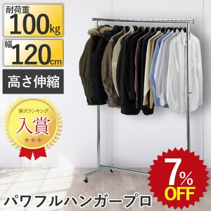 yVX[p[SALEő30%OFF&P 12/4 20:00~12/11 1:59 ptnK[v120 [ ߗ nK[bN pCvnK[ Lk  v  X`[ LX^[t Vv ƒp ω